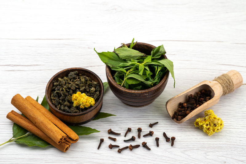 Bạn không nên tự ý dùng cây thuốc dòi nếu chưa được thầy thuốc hướng dẫn