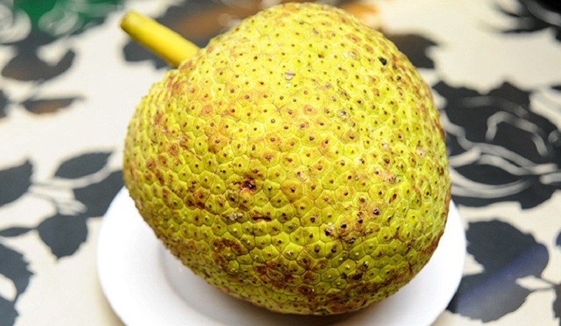 Nên lựa chọn những quả còn tươi, không có dấu hiệu hư hỏng làm thực phẩm