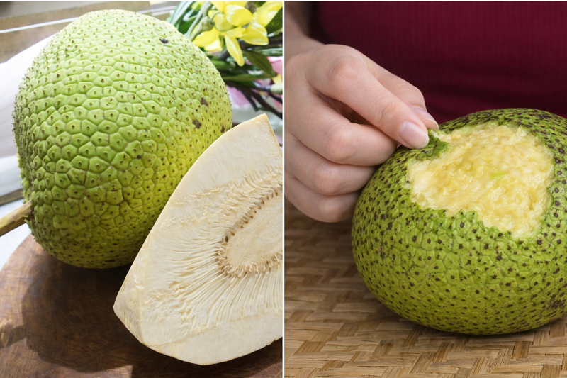 So sánh trái sake non và trái sake chín mềm trong thực tế