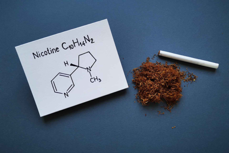 Nicotine là chất gây nghiện mức độ mạnh 