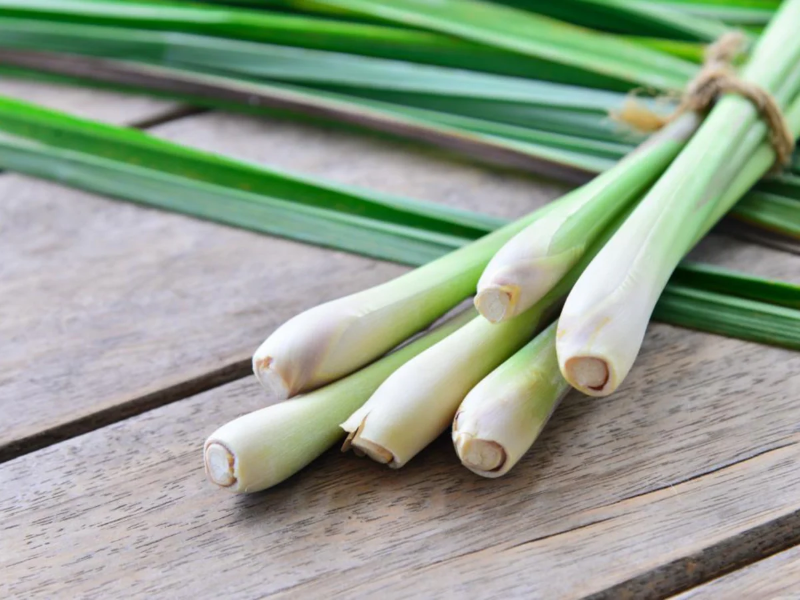 Sử dụng tinh dầu chanh, sả để xua đuổi rết ra khỏi nhà