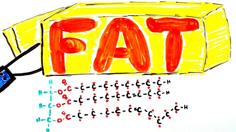 Những nguồn thực phẩm nào chứa chất béo xấu?
