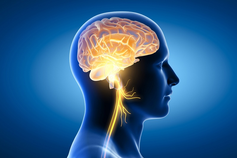  Ăn gì bổ não và tăng cường trí nhớ?