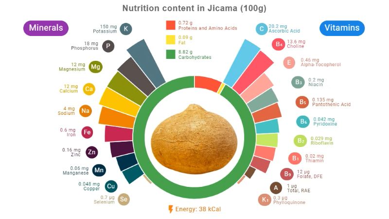 Thành phần dinh dưỡng củ của đậu