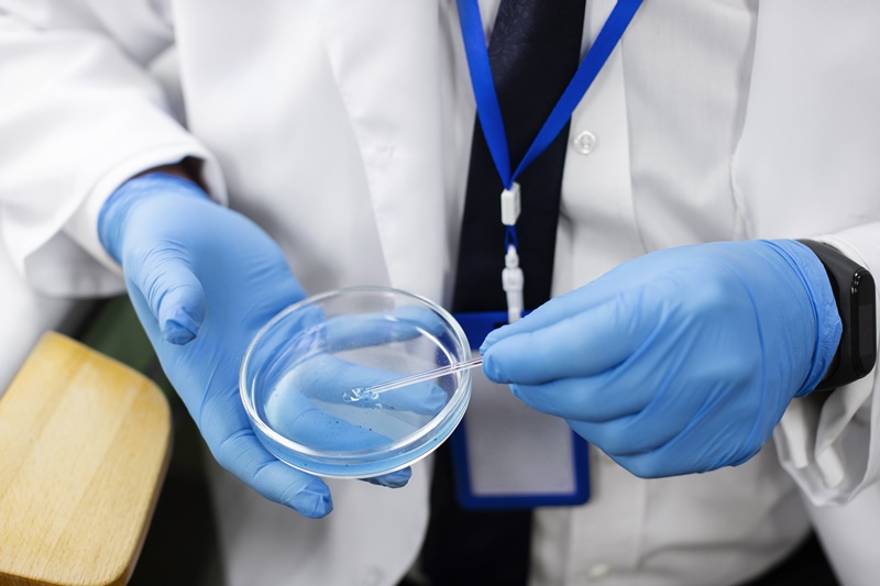 Tế bào gốc có thể được nuôi cấy trong phòng thí nghiệm