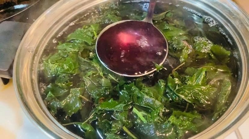 Theo kinh nghiệm truyền miệng, uống nước lá tía tô có thể kích thích chuyển dạ