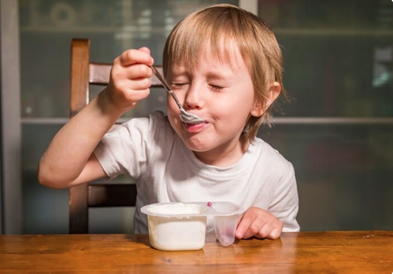 Sữa chua chứa nhiều lợi khuẩn, giúp duy trì sự cân bằng hệ vi sinh đường ruột ở trẻ