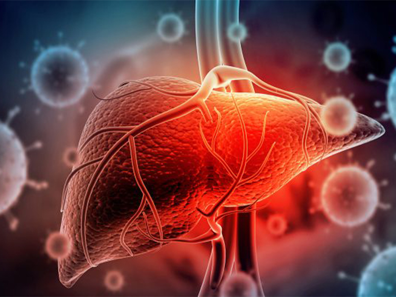 Người nhiễm HBV mạn tính được khuyến cáo tầm soát ung thư gan 6 tháng/lần
