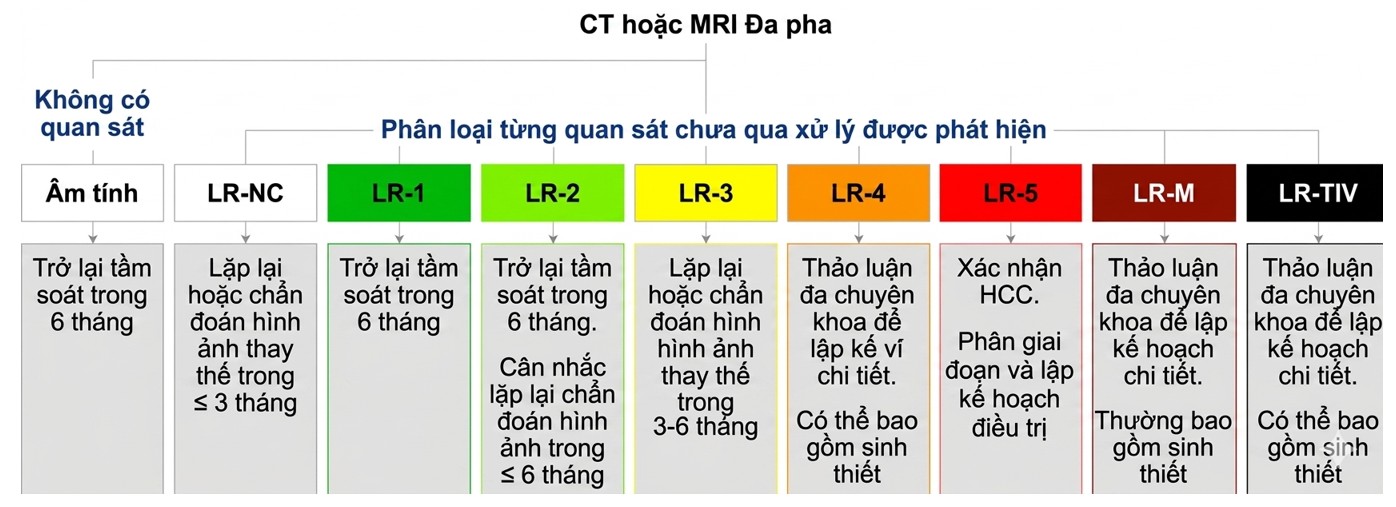 Sơ đồ hệ thống phân loại LIRADS trong chẩn đoán hình ảnh