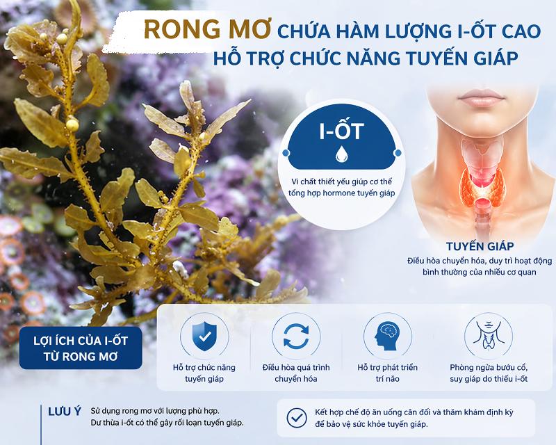 Lượng i-ốt cao trong rong mơ có thể hỗ trợ chức năng tuyến giáp 