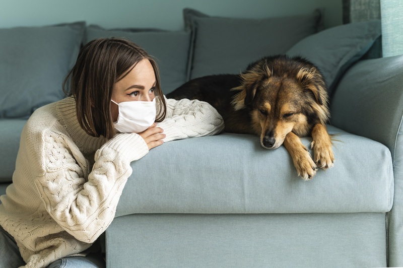Bệnh care ở chó không có khả năng lây nhiễm sang cho người