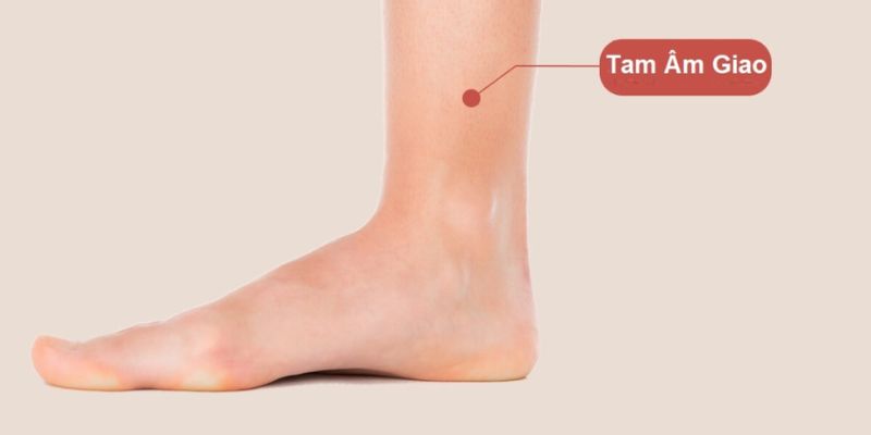 Huyệt tam âm giao rất quan trọng và là nơi hội tụ âm khí 