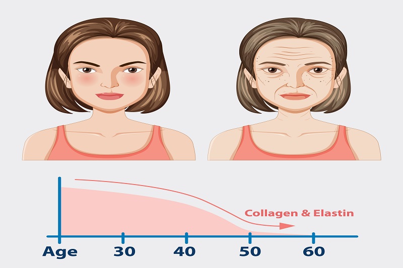 Hình ảnh mô phỏng quá trình lão hóa da theo độ tuổi