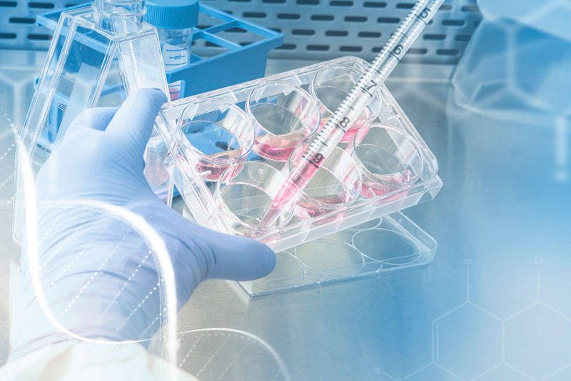 Xét nghiệm gen cần thực hiện tại phòng lab hiện đại