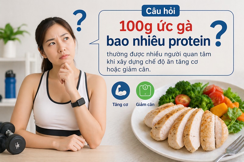 Câu hỏi “100g ức gà bao nhiêu protein” thường được nhiều người quan tâm khi xây dựng chế độ ăn tăng cơ hoặc giảm cân. 