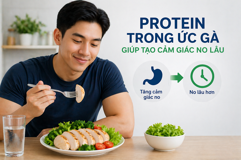 Protein trong ức gà giúp tạo cảm giác no lâu 