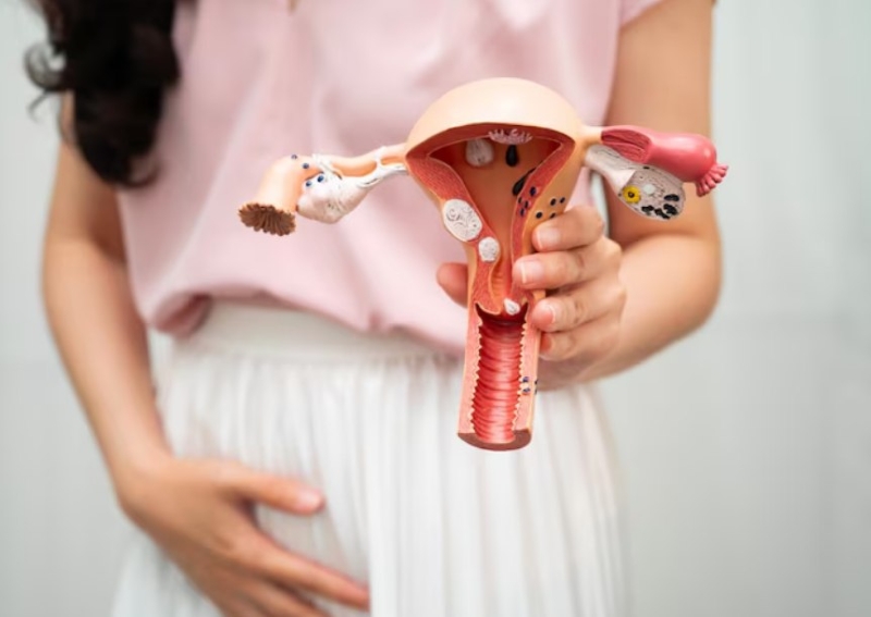 Các bệnh lý phụ khoa có thể là nguyên nhân của tình trạng bị rách da ở vùng kín nữ giới 