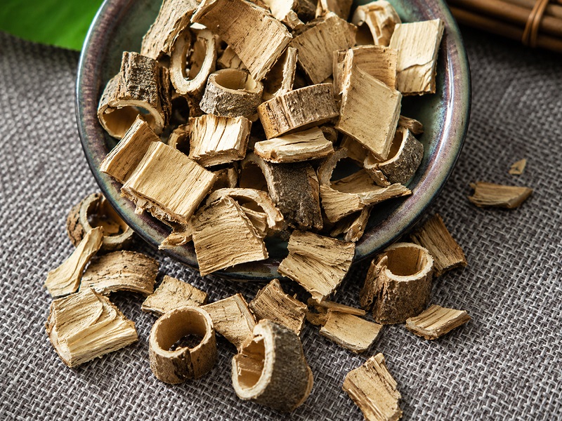 Người bệnh không nên tự ý dùng tần bì kéo dài khi chưa có hướng dẫn chuyên môn. 