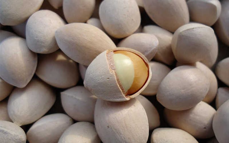 Hạt bạch quả nằm trong danh sách các loại hạt bà bầu không nên ăn