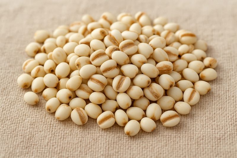 Bà bầu không nên ăn hạt ý dĩ