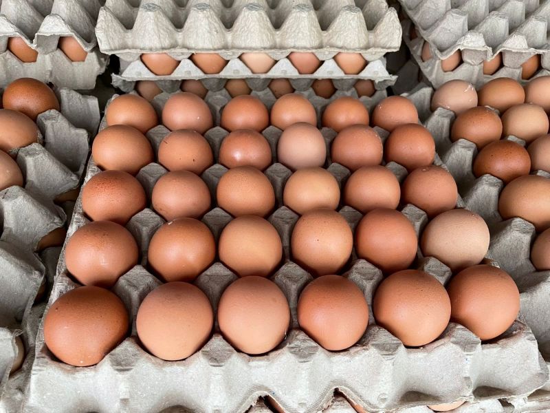 Khi ăn chay bạn nên lựa chọn trứng gà công nghiệp không trống