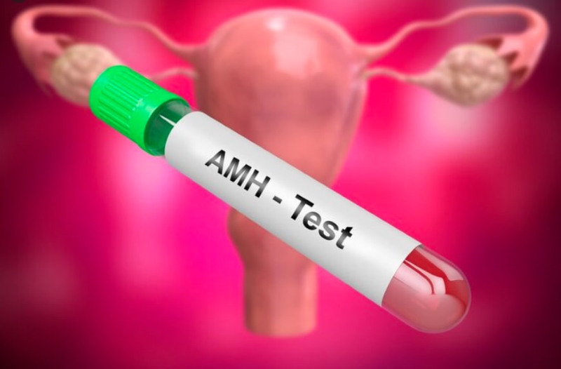 Chỉ số AMH theo độ tuổi sẽ có những thay đổi rõ rệt 