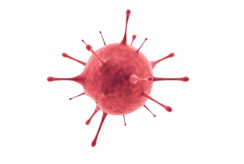 Mụn cóc xuất hiện do sự tấn công của virus HPV 