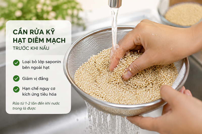 Cần rửa kỹ hạt diêm mạch trước khi nấu giúp giảm vị đắng và hạn chế kích ứng tiêu hóa. 
