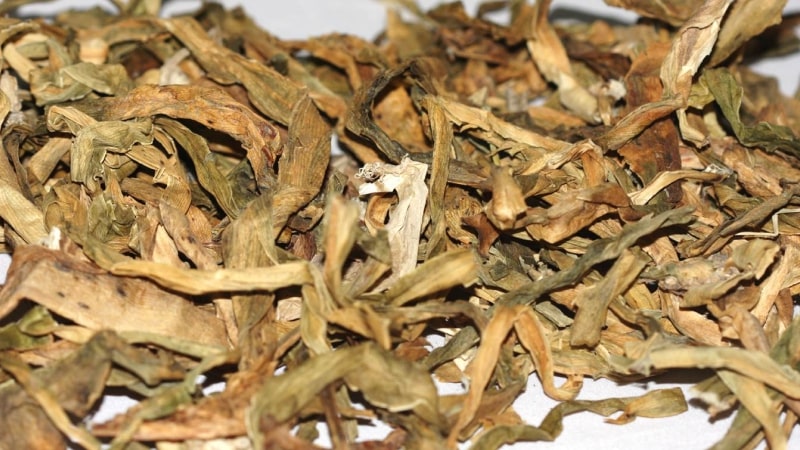 Dược liệu trinh nữ hoàng cung dạng khô