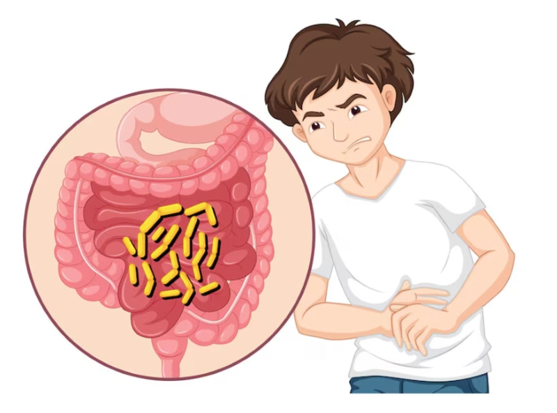 Tẩy giun định kỳ giúp giảm nguy cơ nhiễm giun và bảo vệ sức khỏe đường tiêu hóa