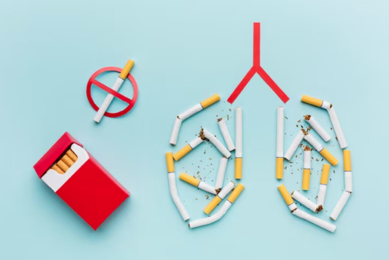 Nicotine có trong lá của cây thuốc lá