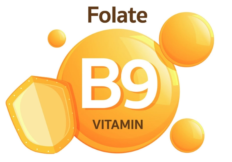 Axit folic là một trong những loại thuốc được chỉ định đối với mẹ bầu có tiền sử thai lưu 