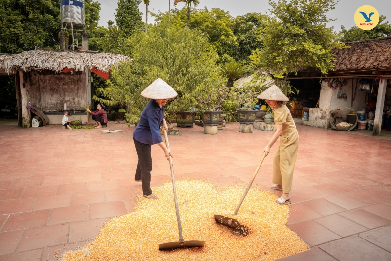 Lao động vất vả dưới thời tiết nắng nóng tiềm ẩn nhiều hệ lụy đối với sức khỏe  
