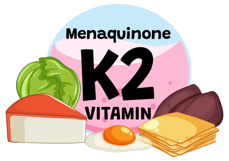 Vitamin K2 giữ vai trò điều hướng và quản lý canxi trong cơ thể