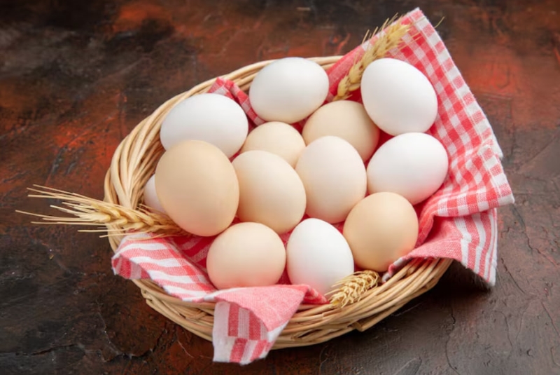 Ho ăn trứng gà được không - câu trả lời tùy thuộc vào nhiều yếu tố 