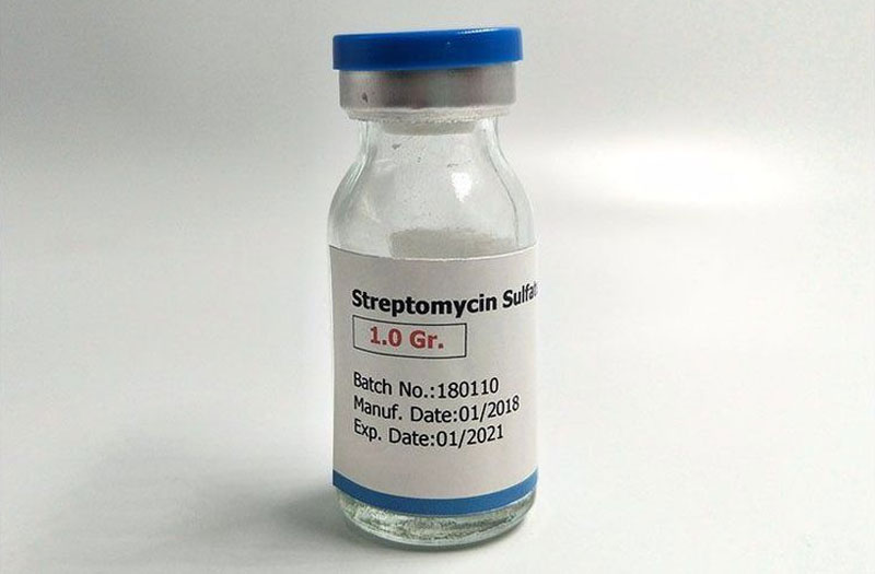 Kháng sinh Streptomycin dạng pha tiêm thường được chỉ định trong phác đồ điều trị lao hoặc nhiễm khuẩn nặng