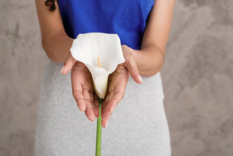 Chị em sau sinh cần chú ý chăm sóc vùng kín đúng cách
