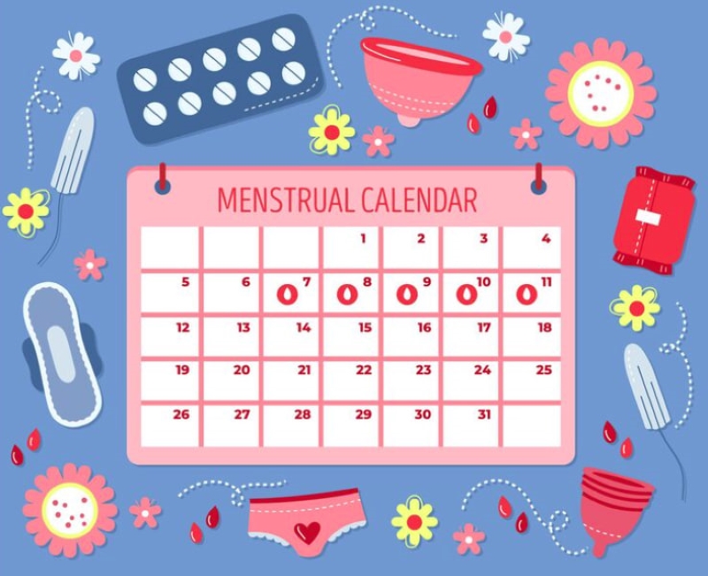 Chu kỳ kinh nguyệt đều đặn là một trong những dấu hiệu ngừng phát triển chiều cao ở nữ