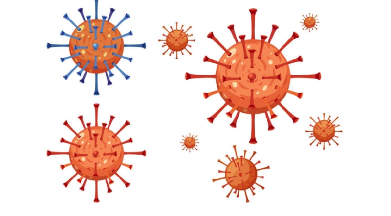 Bệnh đậu mùa khỉ do virus đậu mùa khỉ gây ra