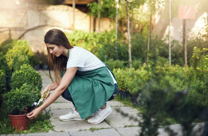Tích cực phát quang bụi rậm, dọn cỏ dại quanh nhà là biện pháp hữu hiệu phòng ngừa sốt mò