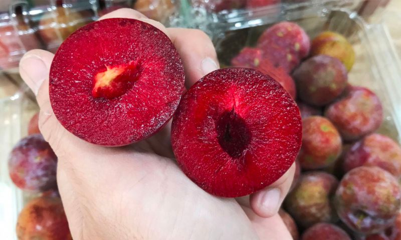Nuốt phải hạt mận có sao không là thắc mắc của nhiều người