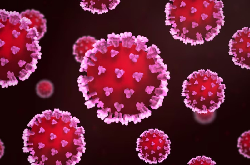Sùi mào gà là bệnh lây truyền qua đường tình dục do vi rút HPV gây ra 