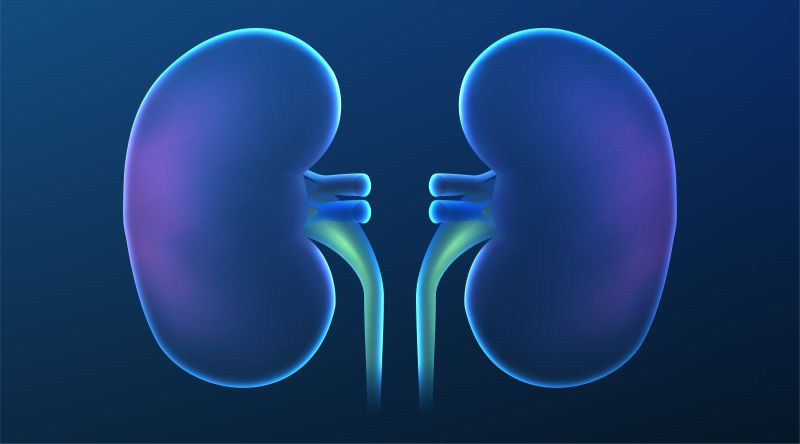 Uống nước đậu đen xanh lòng hỗ trợ chức năng thận