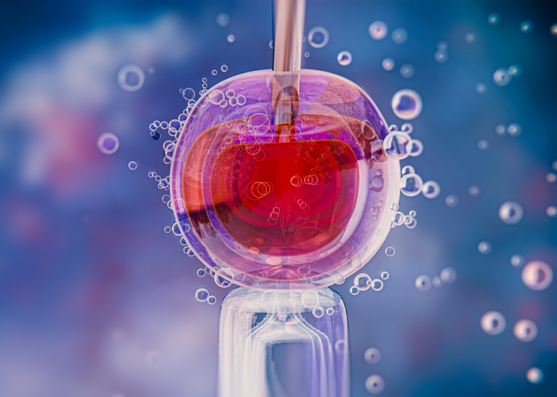 IVF là một trong những phương pháp điều trị vô sinh phổ biến hiện nay