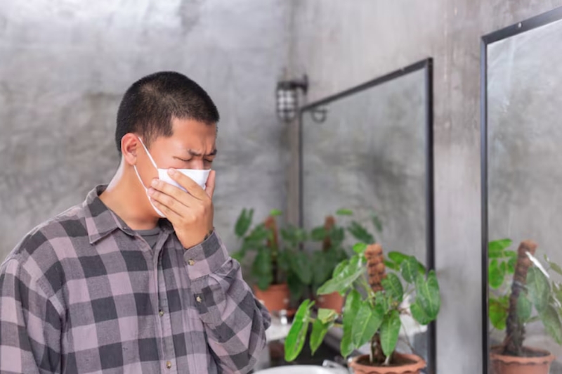 Các chất dị ứng trong môi trường là tác nhân gây <a href='https://medlatec.vn/tu-dien-benh-ly/viem-mui-van-mach-viem-mui-di-ung-smwuW' title='viêm mũi dị ứng'>viêm mũi dị ứng</a>