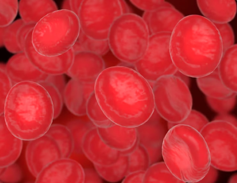 Lượng hemoglobin trung bình trong mỗi tế bào hồng cầu được phản ánh thông qua chỉ số MCH 