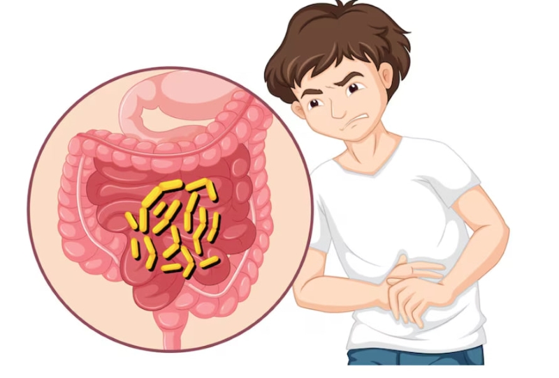 Đường tiêu hóa là một trong những con đường lây nhiễm bệnh lý giun sán phổ biến 