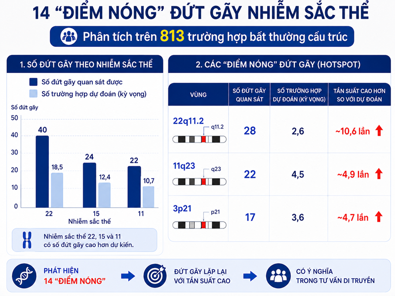 14 “điểm nóng” đứt gãy nhiễm sắc thể được ghi nhận qua phân tích 813 trường hợp bất thường cấu trúc