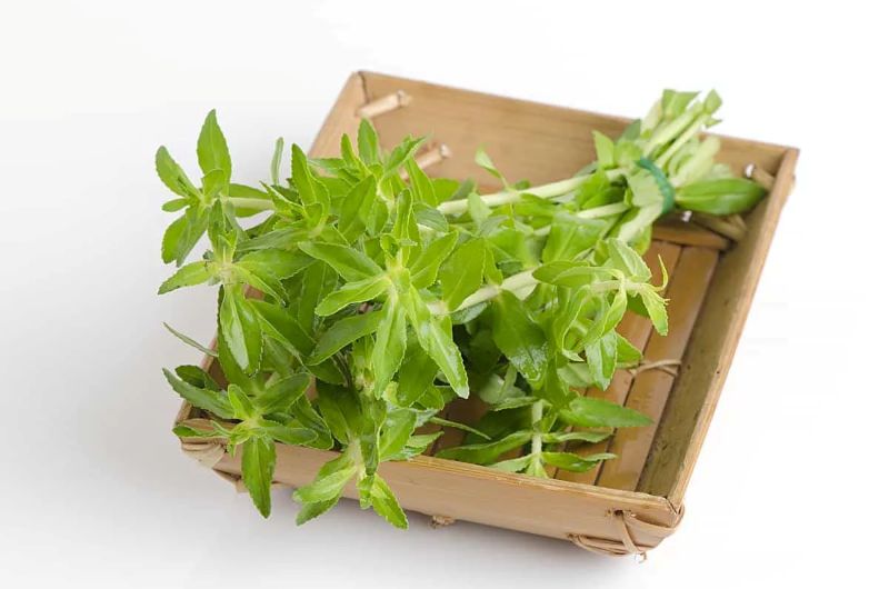 Rau ngổ hay còn có tên gọi là rau om