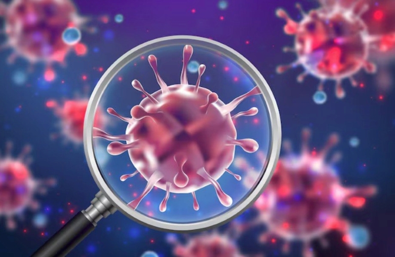 Virus HPV là nguyên nhân chủ yếu gây ung thư cổ tử cung 